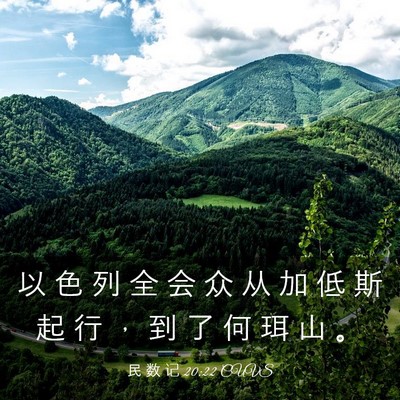 Picture 03 - 民 数 记 20:22 CUVS - 以 色 列 全 会 众 从 加 低 斯 起 行 - Bible Verse Picture