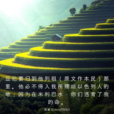 Picture 03 - 民 数 记 20:24 CUVS - 亚 伦 要 归 到 他 列 祖 （ 原 文 作 - Bible Verse Picture