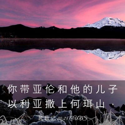Picture 03 - 民 数 记 20:25 CUVS - 你 带 亚 伦 和 他 的 儿 子 以 利 亚 - Bible Verse Picture