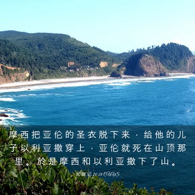 Picture 03 - 民 数 记 20:28 CUVS - 摩 西 把 亚 伦 的 圣 衣 脱 下 来 ， - Bible Verse Picture