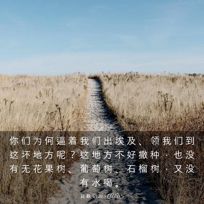 Picture 03 - 民 数 记 20:5 CUVS - 你 们 为 何 逼 着 我 们 出 埃 及 、 - Bible Verse Picture
