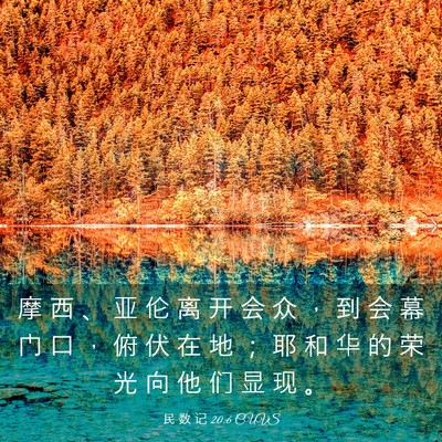 Picture 03 - 民 数 记 20:6 CUVS - 摩 西 、 亚 伦 离 开 会 众 ， 到 会 - Bible Verse Picture