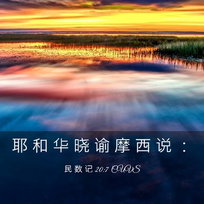 Picture 03 - 民 数 记 20:7 CUVS - 耶 和 华 晓 谕 摩 西 说 - Bible Verse Picture