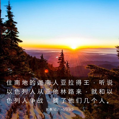 Picture 03 - 民 数 记 21:1 CUVS - 住 南 地 的 迦 南 人 亚 拉 得 王 ， - Bible Verse Picture