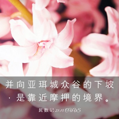 Picture 03 - 民 数 记 21:15 CUVS - 并 向 亚 珥 城 众 谷 的 下 坡 ， 是 - Bible Verse Picture