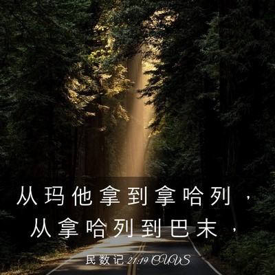 Picture 03 - 民 数 记 21:19 CUVS - 从 玛 他 拿 到 拿 哈 列 ， 从 拿 哈 - Bible Verse Picture