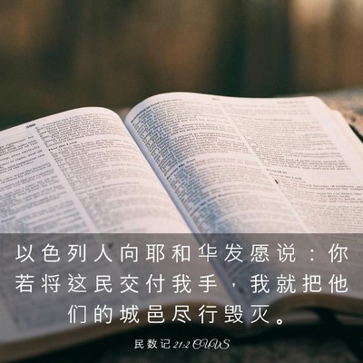 Picture 03 - 民 数 记 21:2 CUVS - 以 色 列 人 向 耶 和 华 发 愿 说 ： - Bible Verse Picture