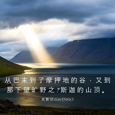 Picture 03 - 民 数 记 21:20 CUVS - 从 巴 末 到 了 摩 押 地 的 谷 ， 又 - Bible Verse Picture