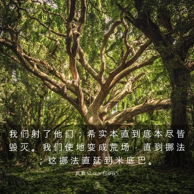 Picture 03 - 民 数 记 21:30 CUVS - 我 们 射 了 他 们 ； 希 实 本 直 到 - Bible Verse Picture