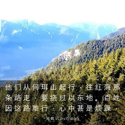 Picture 03 - 民 数 记 21:4 CUVS - 他 们 从 何 珥 山 起 行 ， 往 红 海 - Bible Verse Picture