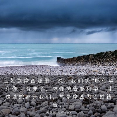 Picture 03 - 民 数 记 21:7 CUVS - 百 姓 到 摩 西 那 里 ， 说 ： 我 们 - Bible Verse Picture