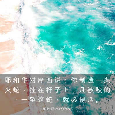 Picture 03 - 民 数 记 21:8 CUVS - 耶 和 华 对 摩 西 说 ： 你 制 造 一 - Bible Verse Picture