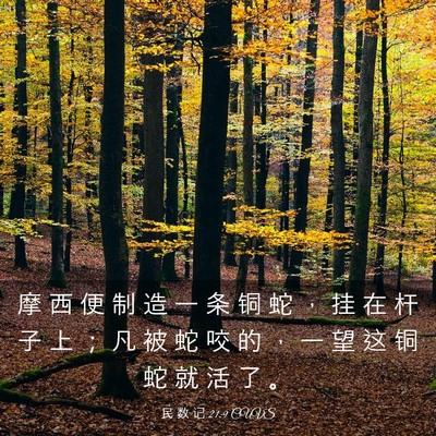 Picture 03 - 民 数 记 21:9 CUVS - 摩 西 便 制 造 一 条 铜 蛇 ， 挂 在 - Bible Verse Picture