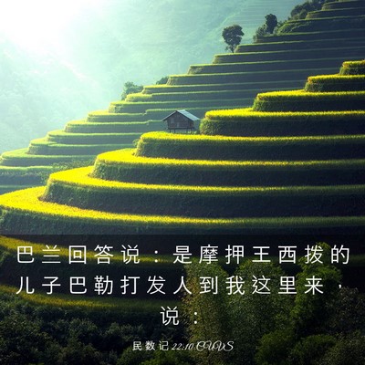 Picture 03 - 民 数 记 22:10 CUVS - 巴 兰 回 答 说 ： 是 摩 押 王 西 拨 - Bible Verse Picture