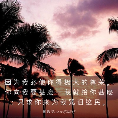 Picture 03 - 民 数 记 22:17 CUVS - 因 为 我 必 使 你 得 极 大 的 尊 荣 - Bible Verse Picture