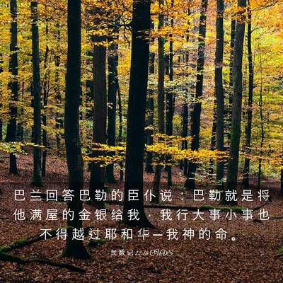 Picture 03 - 民 数 记 22:18 CUVS - 巴 兰 回 答 巴 勒 的 臣 仆 说 ： 巴 - Bible Verse Picture