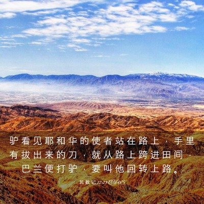 Picture 03 - 民 数 记 22:23 CUVS - 驴 看 见 耶 和 华 的 使 者 站 在 路 - Bible Verse Picture