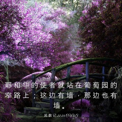 Picture 03 - 民 数 记 22:24 CUVS - 耶 和 华 的 使 者 就 站 在 葡 萄 园 - Bible Verse Picture