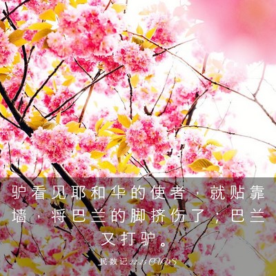 Picture 03 - 民 数 记 22:25 CUVS - 驴 看 见 耶 和 华 的 使 者 ， 就 贴 - Bible Verse Picture