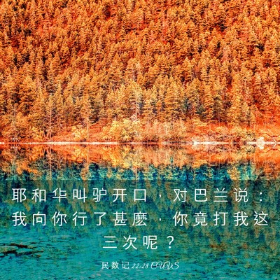 Picture 03 - 民 数 记 22:28 CUVS - 耶 和 华 叫 驴 开 口 ， 对 巴 兰 说 - Bible Verse Picture