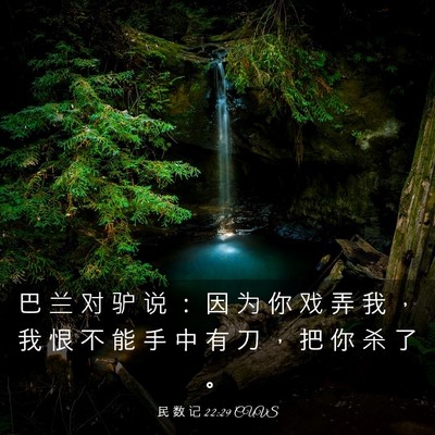 Picture 03 - 民 数 记 22:29 CUVS - 巴 兰 对 驴 说 ： 因 为 你 戏 弄 我 - Bible Verse Picture