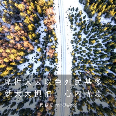 Picture 03 - 民 数 记 22:3 CUVS - 摩 押 人 因 以 色 列 民 甚 多 ， 就 - Bible Verse Picture