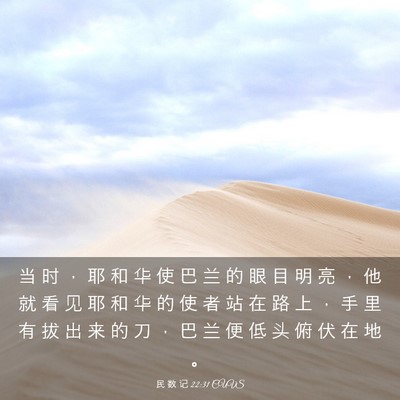 Picture 03 - 民 数 记 22:31 CUVS - 当 时 ， 耶 和 华 使 巴 兰 的 眼 目 - Bible Verse Picture