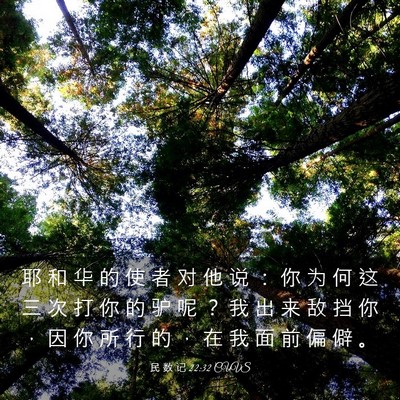 Picture 03 - 民 数 记 22:32 CUVS - 耶 和 华 的 使 者 对 他 说 ： 你 为 - Bible Verse Picture