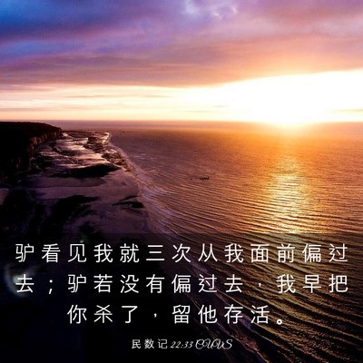 Picture 03 - 民 数 记 22:33 CUVS - 驴 看 见 我 就 三 次 从 我 面 前 偏 - Bible Verse Picture