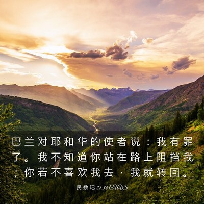 Picture 03 - 民 数 记 22:34 CUVS - 巴 兰 对 耶 和 华 的 使 者 说 ： 我 - Bible Verse Picture