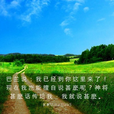 Picture 03 - 民 数 记 22:38 CUVS - 巴 兰 说 ： 我 已 经 到 你 这 里 来 - Bible Verse Picture