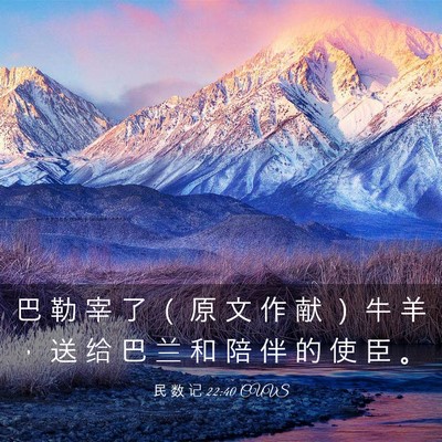 Picture 03 - 民 数 记 22:40 CUVS - 巴 勒 宰 了 （ 原 文 作 献 ） 牛 羊 - Bible Verse Picture