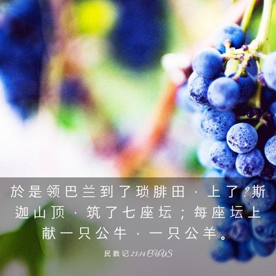 Picture 03 - 民 数 记 23:14 CUVS - 於 是 领 巴 兰 到 了 琐 腓 田 ， 上 - Bible Verse Picture