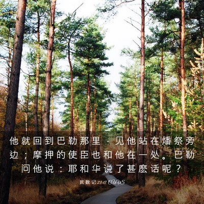 Picture 03 - 民 数 记 23:17 CUVS - 他 就 回 到 巴 勒 那 里 ， 见 他 站 - Bible Verse Picture