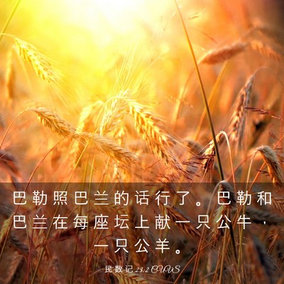Picture 03 - 民 数 记 23:2 CUVS - 巴 勒 照 巴 兰 的 话 行 了 。 巴 勒 - Bible Verse Picture