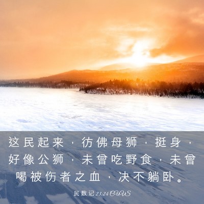 Picture 03 - 民 数 记 23:24 CUVS - 这 民 起 来 ， 彷 佛 母 狮 ， 挺 身 - Bible Verse Picture