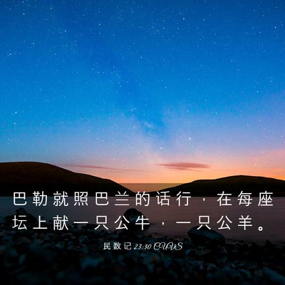 Picture 03 - 民 数 记 23:30 CUVS - 巴 勒 就 照 巴 兰 的 话 行 ， 在 每 - Bible Verse Picture