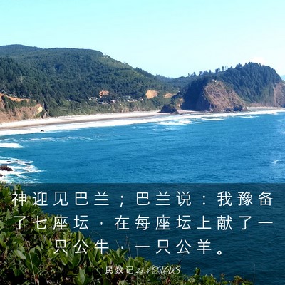 Picture 03 - 民 数 记 23:4 CUVS - 神 迎 见 巴 兰 ； 巴 兰 说 ： 我 豫 - Bible Verse Picture
