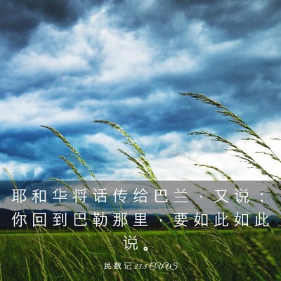 Picture 03 - 民 数 记 23:5 CUVS - 耶 和 华 将 话 传 给 巴 兰 ， 又 说 - Bible Verse Picture