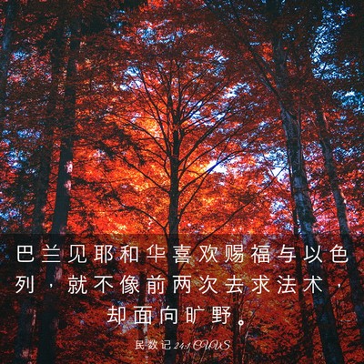 Picture 03 - 民 数 记 24:1 CUVS - 巴 兰 见 耶 和 华 喜 欢 赐 福 与 以 - Bible Verse Picture