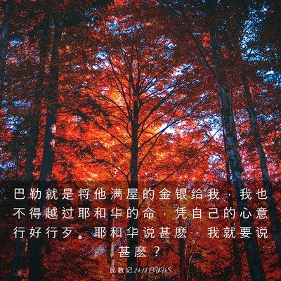 Picture 03 - 民 数 记 24:13 CUVS - 巴 勒 就 是 将 他 满 屋 的 金 银 给 - Bible Verse Picture