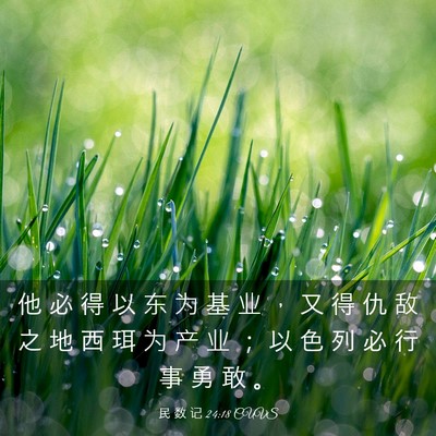 Picture 03 - 民 数 记 24:18 CUVS - 他 必 得 以 东 为 基 业 ， 又 得 仇 - Bible Verse Picture