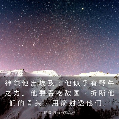 Picture 03 - 民 数 记 24:8 CUVS - 神 领 他 出 埃 及 ； 他 似 乎 有 野 - Bible Verse Picture