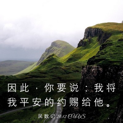 Picture 03 - 民 数 记 25:12 CUVS - 因 此 ， 你 要 说 ： 我 将 我 平 安 - Bible Verse Picture