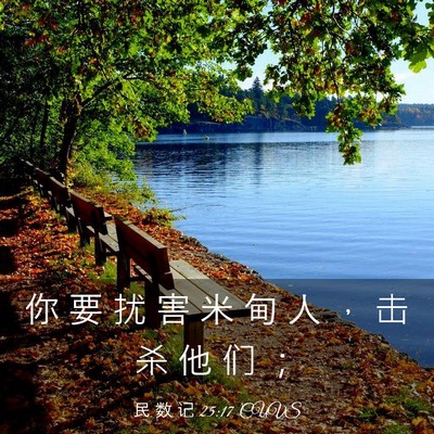 Picture 03 - 民 数 记 25:17 CUVS - 你 要 扰 害 米 甸 人 ， 击 杀 他 们 - Bible Verse Picture