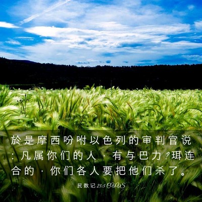 Picture 03 - 民 数 记 25:5 CUVS - 於 是 摩 西 吩 咐 以 色 列 的 审 判 - Bible Verse Picture