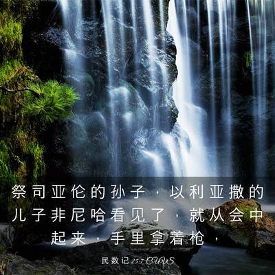 Picture 03 - 民 数 记 25:7 CUVS - 祭 司 亚 伦 的 孙 子 ， 以 利 亚 撒 - Bible Verse Picture