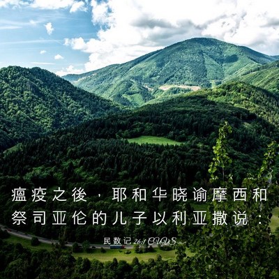 Picture 03 - 民 数 记 26:1 CUVS - 瘟 疫 之 後 ， 耶 和 华 晓 谕 摩 西 - Bible Verse Picture