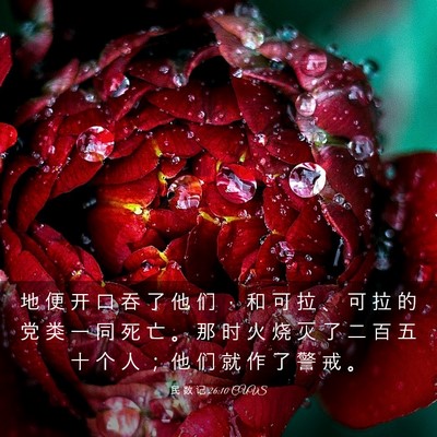 Picture 03 - 民 数 记 26:10 CUVS - 地 便 开 口 吞 了 他 们 ， 和 可 拉 - Bible Verse Picture