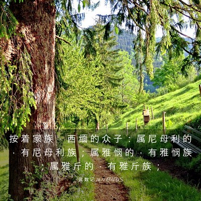 Picture 03 - 民 数 记 26:12 CUVS - 按 着 家 族 ， 西 缅 的 众 子 ： 属 - Bible Verse Picture